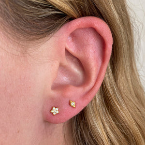 AROS ESTRELLA GOLD PAR